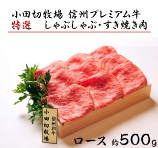 小田切牧場信州プレミアム牛特選しゃぶしゃぶ・すき焼き肉　ロース（500g） ≪ギフト 牛肉 黒毛和牛 切り落とし≫ ※着日指定不可