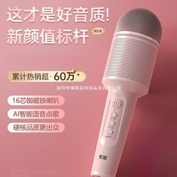 索愛話筒音響一體麥克風無線藍牙k歌電視兒童唱歌全民手機家用ktv【Snowbelle優選】