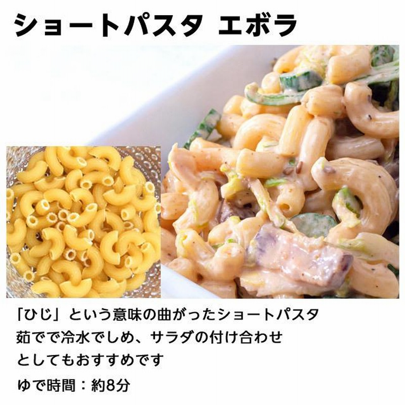 適当な価格 バハール ショートパスタ エルボ デュラム小麦100％ 500g×3袋