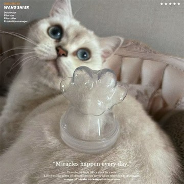 【mono home】毛髮收集器 寵物紀念罐 迷你玻璃瓶 旅行分裝瓶 沐浴乳分裝瓶 拼豆收納瓶 大口徑分裝瓶 寵物用品