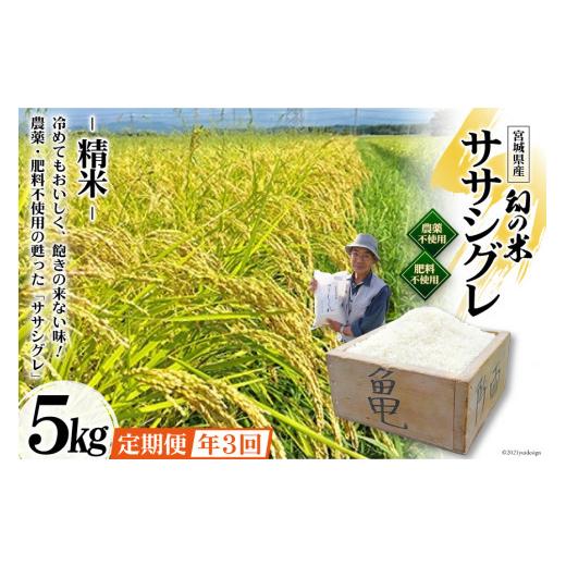 ふるさと納税 宮城県 加美町 3回 定期便 希少品種米 ササシグレ 精米 5kg×3回 総計15kg   長沼 太一   宮城県 加美町