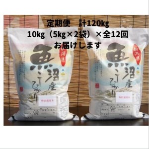 令和５年産新米がんこおやじが作った南魚沼産コシヒカリ白米１０kg（５kg×２袋）