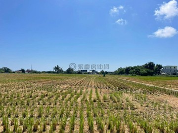 專約#永安鄰近永安工業區優質農地｜高雄市永安區維新段