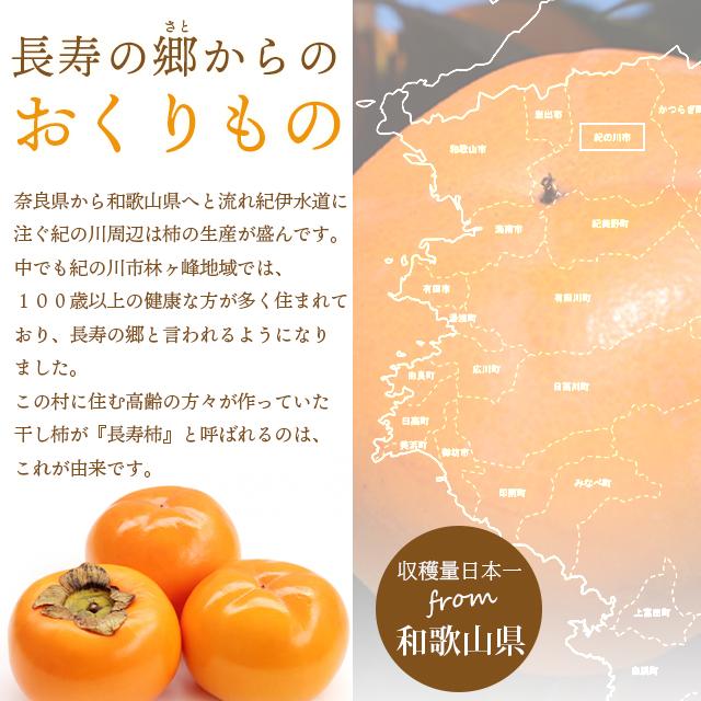 お歳暮 ギフト あんぽ柿 干し柿 フルーツ 送料無料 和歌山県産 無添加 紀州青洲の里 長寿柿 6個入り   プレゼント 贈り物 ドライフルーツ 人気