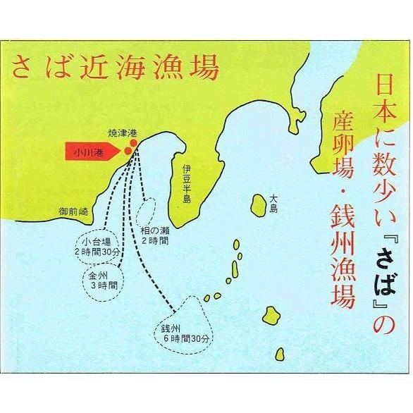 さば煮（生姜醤油煮・常温）半身 約120g