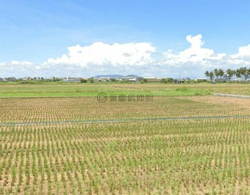 高雄大學近社區.頂鹽田段大面積美農地｜高雄市橋頭區頂塩田段