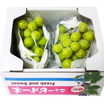 【RealShop 真食材本舖】超大串日本空運麝香葡萄(2房禮盒/約1.5kg±10%) (高檔水果 送禮精品 水果禮盒)
