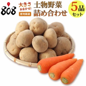 808厳選 土物野菜詰め合わせセット5品(北海道沖縄別途送料加算)野菜詰めあわせ 野菜セット 野菜つめあわせ 詰め