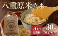 八重原米5kg（5kg×1袋）玄米