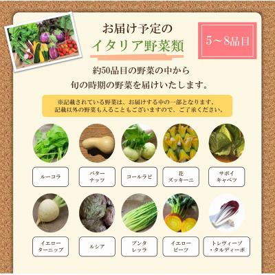 ふるさと納税 河北町 かほくイタリア野菜 旬のおまかせBOX(5〜8種類)