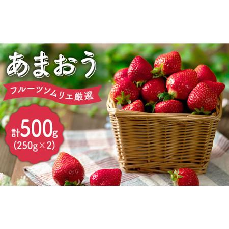 ふるさと納税 福岡産 いちごあまおう 2パック＜南国フルーツ株式会社＞ 那珂川市 いちご フルーツ くだもの.. 福岡県那珂川市