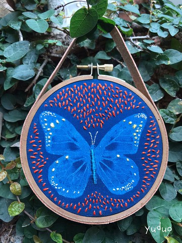 藍曬蝴蝶標本
