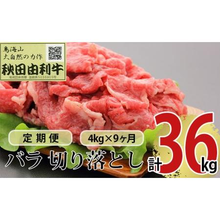 ふるさと納税 《定期便》9ヶ月連続 秋田由利牛 バラ切り落とし 4kg（1kg×4パック） 秋田県にかほ市