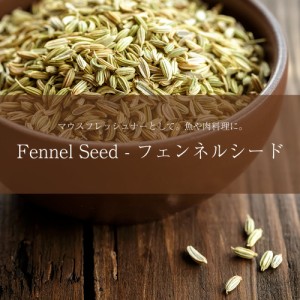フェンネル シード Fennel Seed    マウスフレッシュナー スパイス インド Ambika(アンビカ) カレー アジアン食品 エス