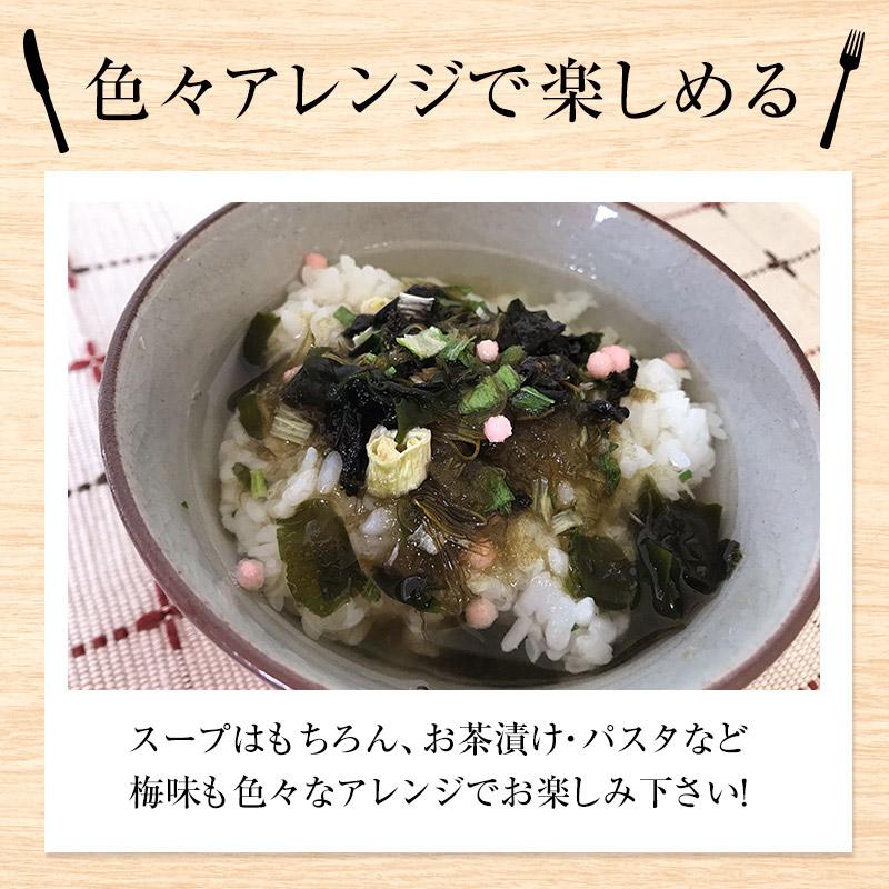 昆布 海藻 がごめ昆布 わかめ とろろ昆布入 即席 大袋 海藻スープ インスタント お得 食品 たっぷり50杯分 選べる プレーンorうめ味 とろりんスープ 200g×1袋