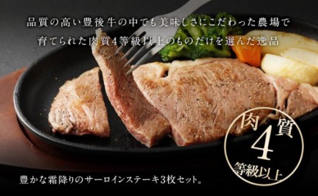 年内発送　サーロインステーキ3枚（180ｇ×3枚）｜ 肉質4等級以上 こだわりの逸品