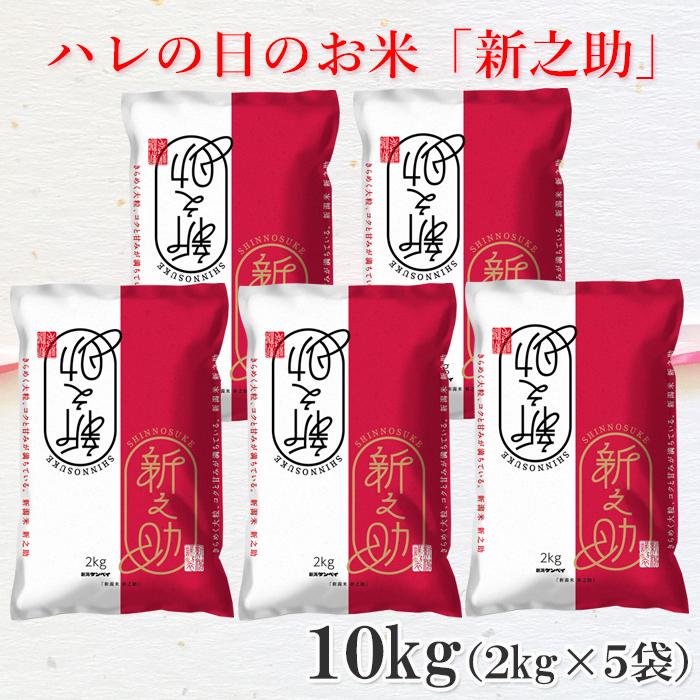 新米 米 10kg 2kg×5袋 新潟県産 新之助 お米 ブランド米 令和5年産 精米 白米 ギフト