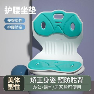 人體工學護腰坐墊久坐神器腰靠背腰枕靠墊座椅腰部支撐腰托辦公室