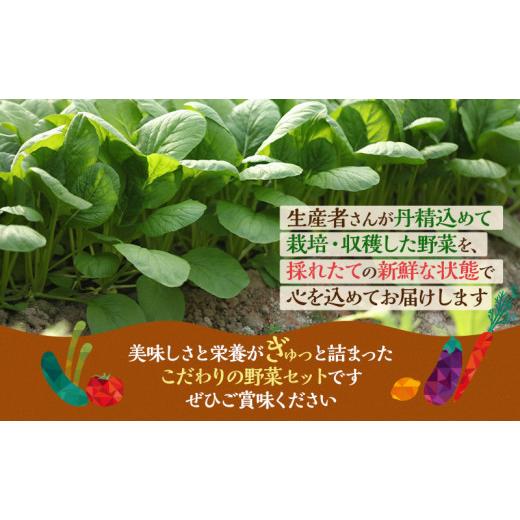 ふるさと納税 静岡県 袋井市 とれたて野菜パック 定期便4回 (2ヶ月おき) 季節の野菜セット 詰め合わせ 10品前後 ジャガイモ 人参 大根 小松菜 白ネギ グリンリ…