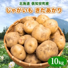 北海道産 じゃがいも きたあかり 約10kg 縁樹 倶知安町