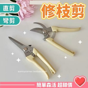 不銹鋼 樹枝剪💕【台灣現貨】修枝剪 花木剪刀 園林 花藝果樹剪 花枝剪刀 園藝剪刀 高枝剪 粗枝剪刀 修花剪刀