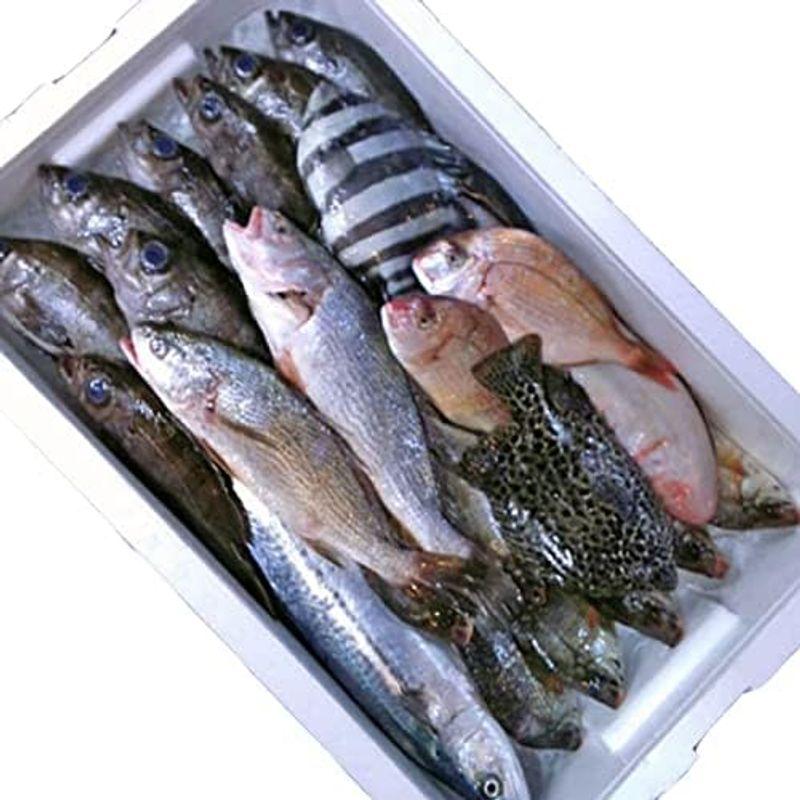 鮮魚セット A 母の日 詰め合わせ 直送 ギフト ギフトセット 山形県庄内産 魚 さかな 食の都庄内