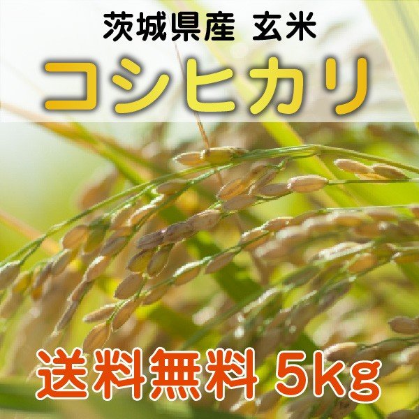 茨城県産コシヒカリ ５kg 玄米（精米無料）