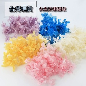 永生繡球花3g/10g(最便宜才$102元)安娜繡球A級高品質台灣現貨出貨永生綉球 永生花手腕花胸花花盅乾燥花花材花束