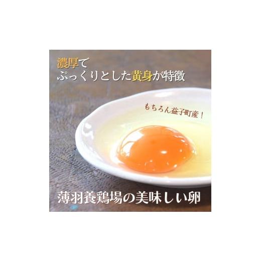 ふるさと納税 栃木県 益子町 AA001　旬の採れたてぜいたく野菜セット　卵付き♪　2人用