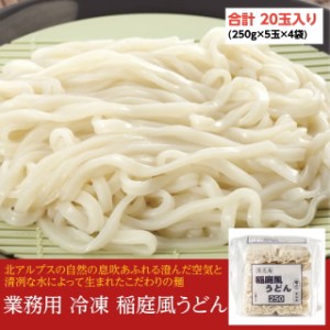 稲庭風うどん 250g×5玉×4袋 全部で20玉入り 5kg 業務用 冷凍麺 簡単調理 お徳用 まとめ買い 仕入れ 澤志庵 たくしあん 稲庭うどん