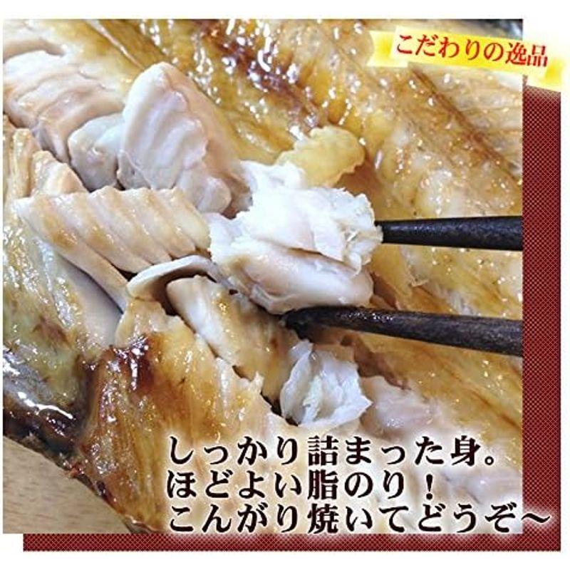 特大 ホッケ 開き干し 4尾セット ホッケ ほっけ 法華 しまほっけ トロほっけ