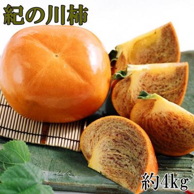 ふるさと納税 すさみ町 紀の川柿(たねなし)約3.5〜4kg・秀品(すさみ町)