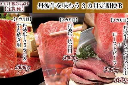 丹波牛を味わう 定期便B  丹波牛定期便 食べ比べ定期便 牛肉定期便 焼肉 すき焼き しゃぶしゃぶ 定期便 ローストビーフ付き定期便 ブロック 肉 A5 ランク 牛 冷凍 定期便 京都 京丹波町 定期便 [110IZ001R]