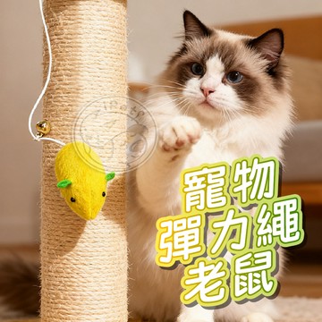 【小狐狸寵物】寵物彈力繩老鼠 貓咪玩具 逗貓繩玩具 綁繩貓玩具 小老鼠玩具 逗貓玩具 寵物貓玩具 貓玩具 寵物玩具