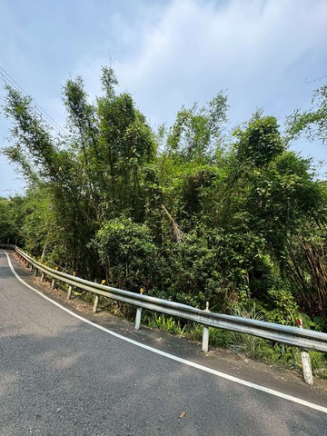 關西交流道旁二萬坪土地★超大面寬★市中心｜新竹縣關西鎮店岡段