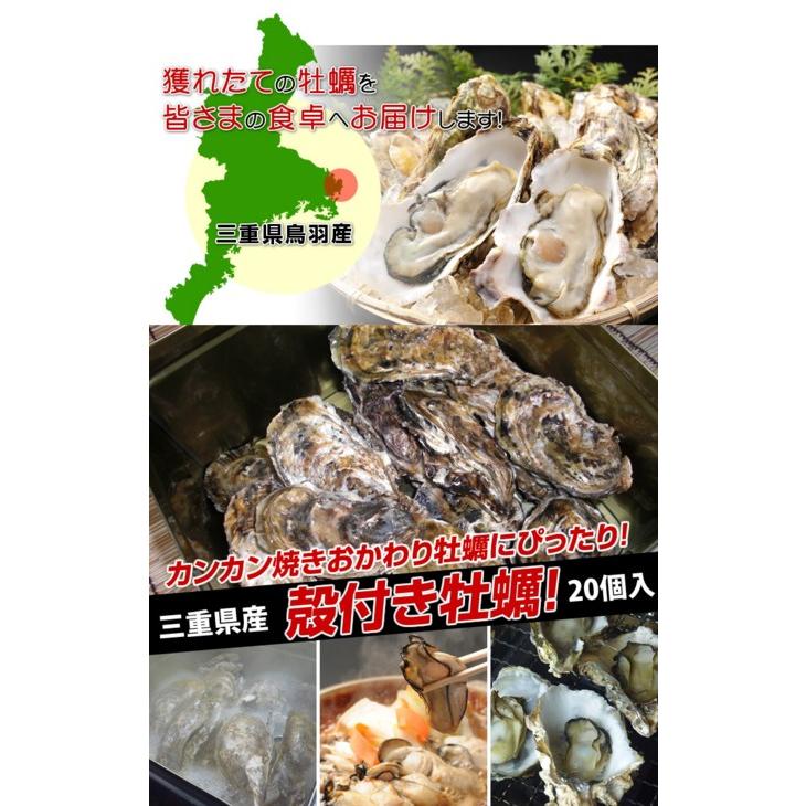 殻付牡蠣 桃こまち 加熱用 20個入