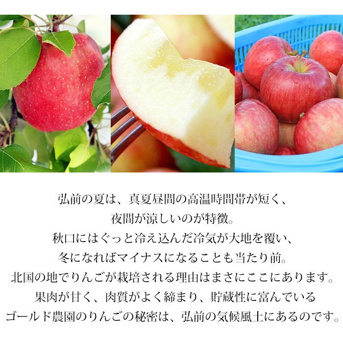 りんご 青森県産 サンふじ プレミアム 約2kg 5〜9玉