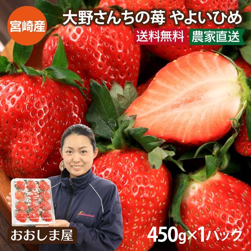 いちご 送料無料 やよいひめ 1パック イチゴ やよい姫 苺 宮崎産 ＜12月中旬より出荷予定＞ 農家直送 フルーツ 果物 大嶌屋（おおしまや）