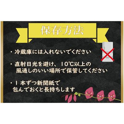 ふるさと納税 行方市 無選別　行方台地のさつまいも　紅はるか10kg 全4回