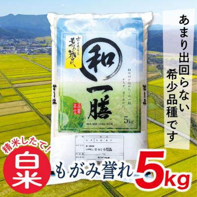 ふるさと納税 最上町 令和5年産山形県産もがみ誉れ5kg