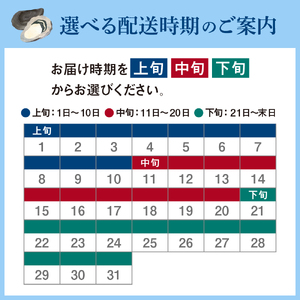 丸十水産 広島ブランド牡蠣 殻付き かき小町 約3kg (15～21個) 加熱用