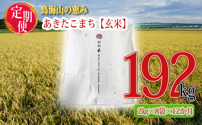 《定期便》16kg×12ヶ月 秋田県産 あきたこまち 玄米 2kg×8袋 神宿る里の米「ひの米」（お米 小分け）