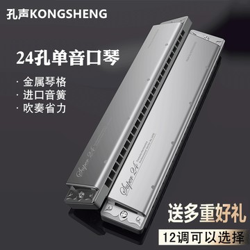 德國進口音簧孔聲24孔單音口琴金屬琴格初學者學生入門專業演奏級