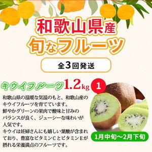 ふるさと納税 ZE6393n_和歌山産 旬なフルーツ 秀品 (キウイフルーツ1.2kg  有田の不知火6玉 L〜2L  有田の.. 和歌山県湯浅町