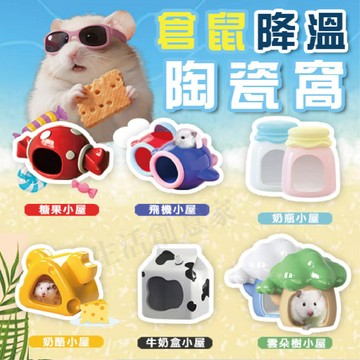 【實體店面現貨】倉鼠陶瓷窩 消暑聖品 倉鼠家 小寵 睡窩 鼠窩 陶瓷窩 倉鼠陶瓷 寵物 倉鼠窩 涼爽