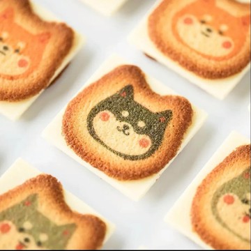 【專業農】日本信州 柴犬餅乾禮盒 | 白巧克力餅乾禮盒