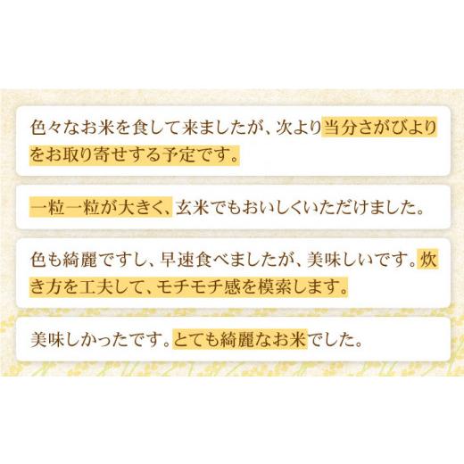 ふるさと納税 佐賀県 江北町 令和5年産 新米 さがびより 玄米 30kg [HAC001]