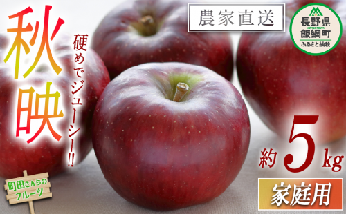 りんご 秋映 家庭用 5kg 沖縄県への配送不可 2023年9月下旬頃から2023年10月下旬頃まで順次発送予定 町田さんちのりんご 長野県 飯綱町 [1136]