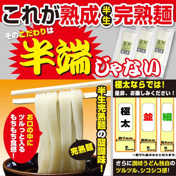 20時間熟成  半生 極太 讃岐うどん つゆ付きセット 便利な個包装 750g 送料無料 最安値挑戦 得トクセール 特産品