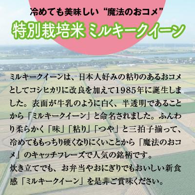 ふるさと納税 稲敷市 特別栽培米　稲敷市産ミルキークイーン20kg(5kg×4袋)